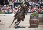 Pferd International 111